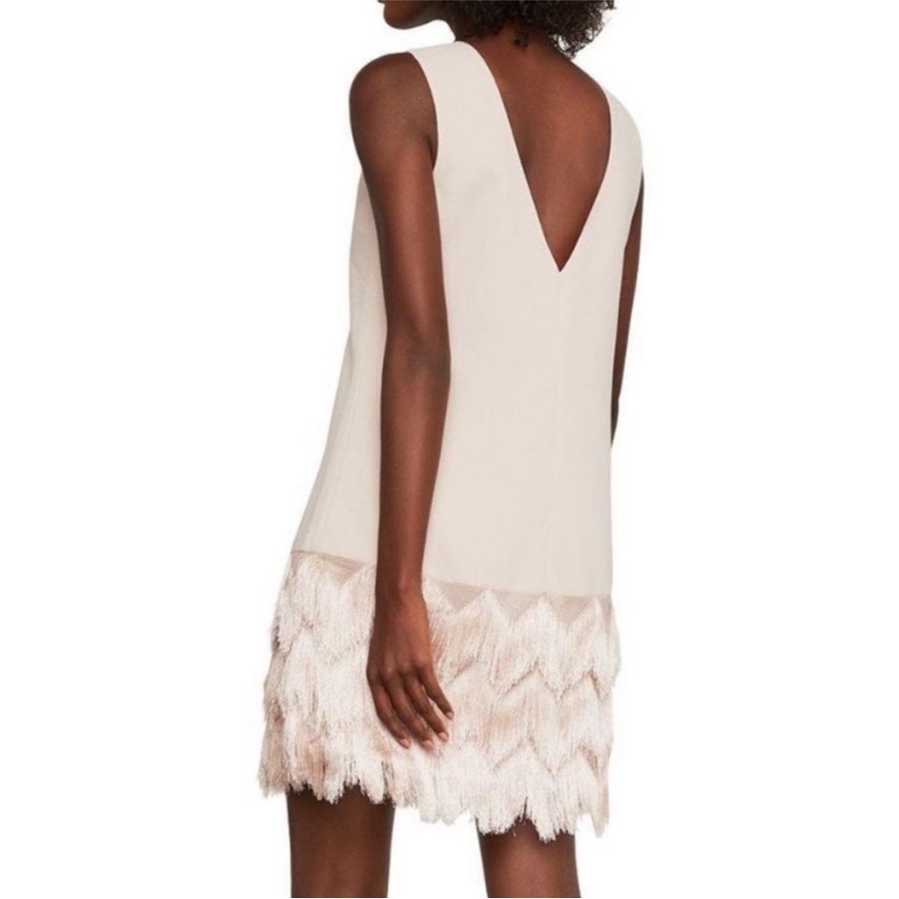 Bcbgmaxazria Addilyn Dress with Fringe Detail Size 10 - Picture 3 of 9